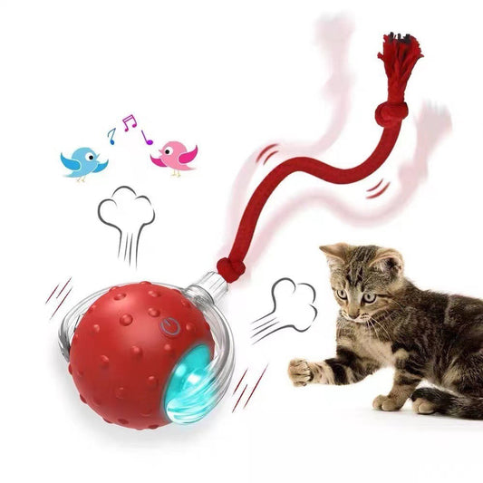 Cat&Dog Toy - Interactive USB Rechargeable Ball Toy on Rug , Anti-Depression Fun Gift for Cats & Dogs