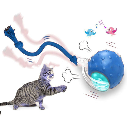 Cat&Dog Toy - Interactive USB Rechargeable Ball Toy on Rug , Anti-Depression Fun Gift for Cats & Dogs