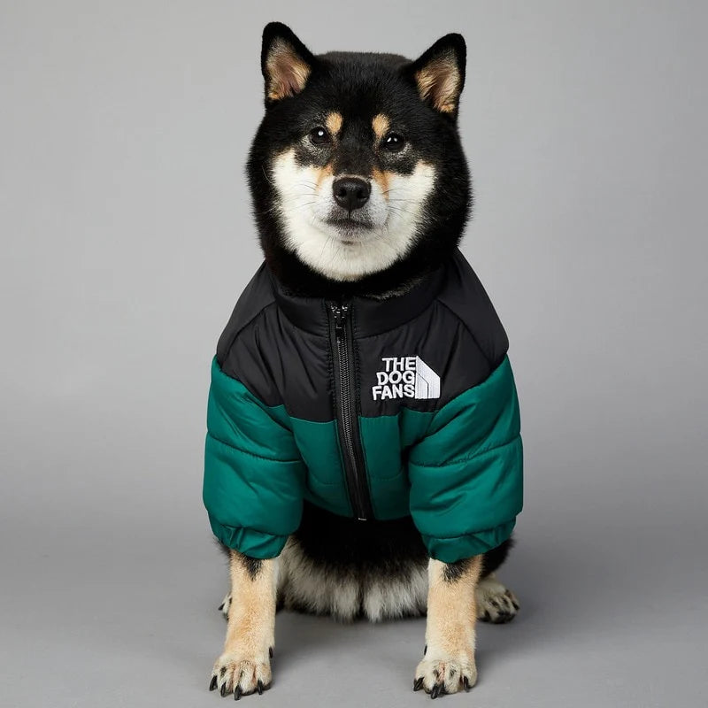 Windproof and Rainproof Warm Down Jacket For Pet Dog