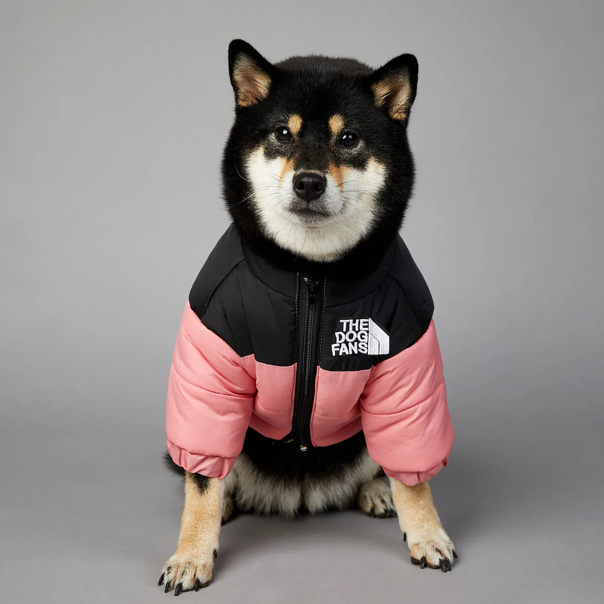 Windproof and Rainproof Warm Down Jacket For Pet Dog