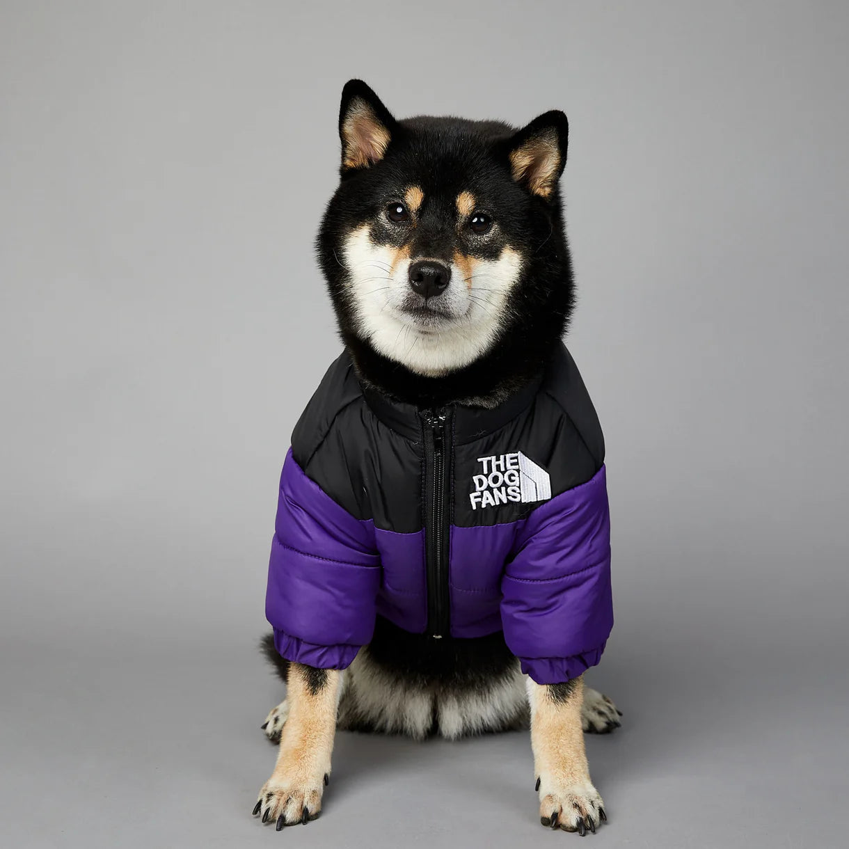 Windproof and Rainproof Warm Down Jacket For Pet Dog