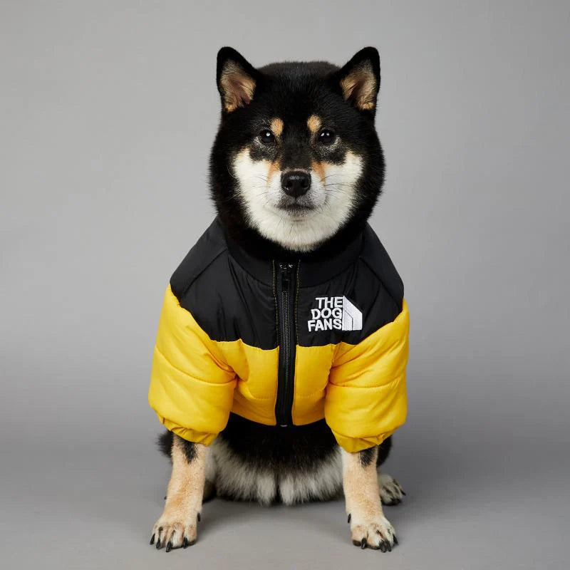 Windproof and Rainproof Warm Down Jacket For Pet Dog