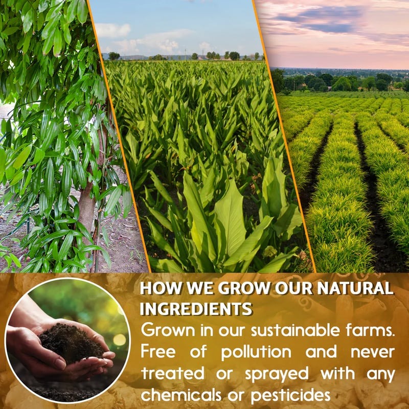 🌹100% Natural Turmeric Ginger Cinnamon Tea